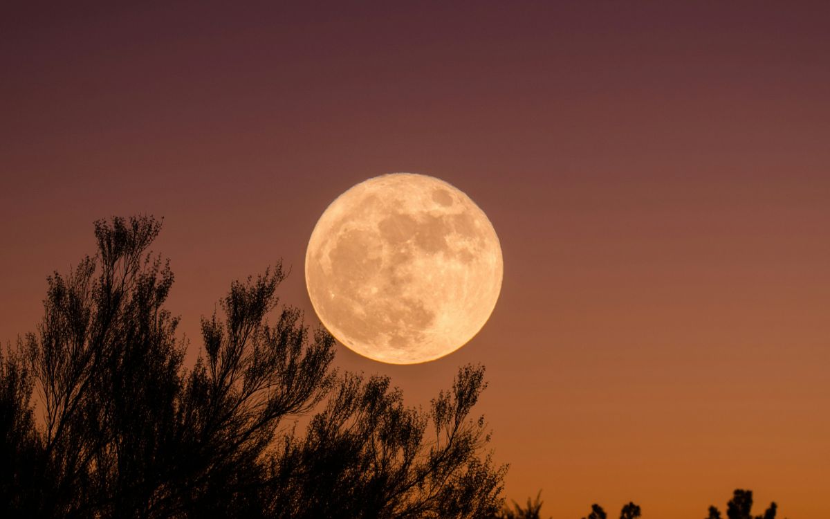 Super Lune NASA éclipse météores comètes octobre 2024